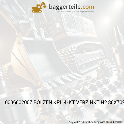0036002007 BOLZEN KPL.4-KT VERZINKT H2 80X709