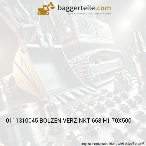 0111310045 BOLZEN VERZINKT 668 H1 70X500