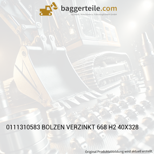 0111310583 BOLZEN VERZINKT 668 H2 40X328