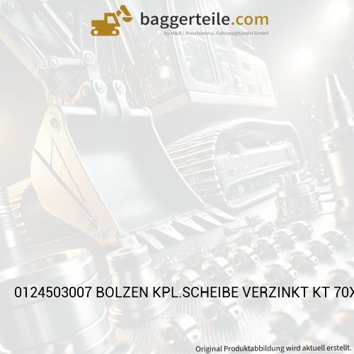 0124503007 BOLZEN KPL.SCHEIBE VERZINKT KT 70X190