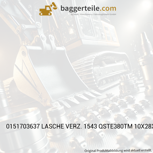 0151703637 LASCHE VERZ. 1543 QSTE380TM 10X28X80 Y