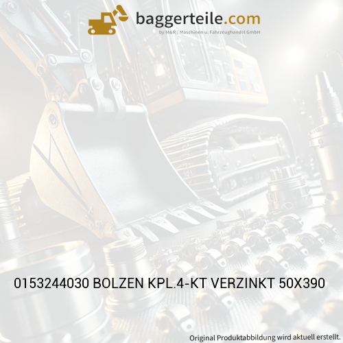 0153244030 BOLZEN KPL.4-KT VERZINKT 50X390