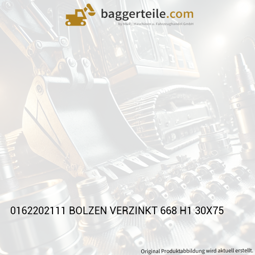 0162202111 BOLZEN VERZINKT 668 H1 30X75