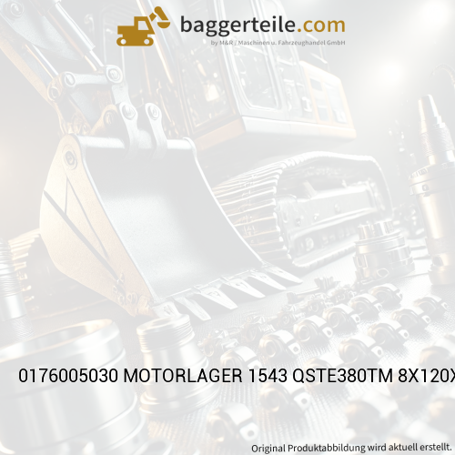 0176005030 MOTORLAGER 1543 QSTE380TM 8X120X235/52K