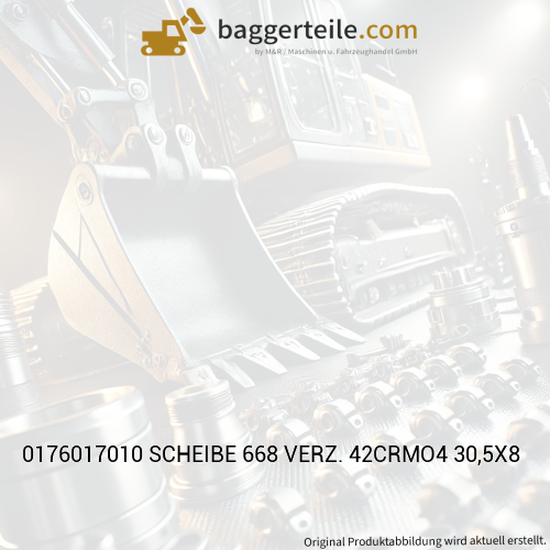 0176017010 SCHEIBE 668 VERZ. 42CRMO4 30,5X8