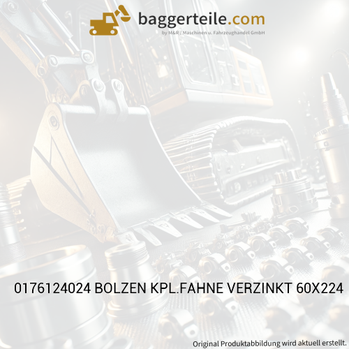 0176124024 BOLZEN KPL.FAHNE VERZINKT 60X224
