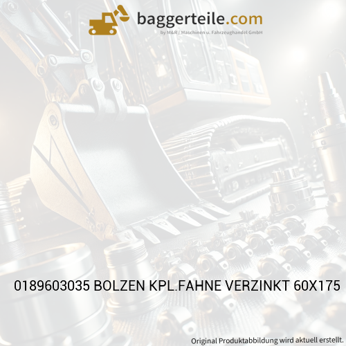 0189603035 BOLZEN KPL.FAHNE VERZINKT 60X175