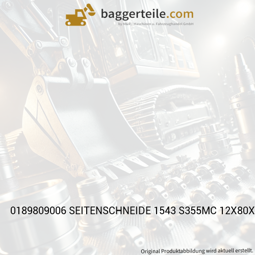 0189809006 SEITENSCHNEIDE 1543 S355MC 12X80X482 Y