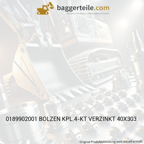 0189902001 BOLZEN KPL.4-KT VERZINKT 40X303