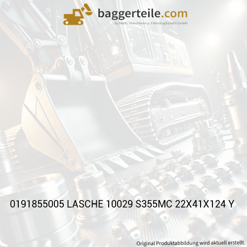 0191855005 LASCHE 10029 S355MC 22X41X124 Y