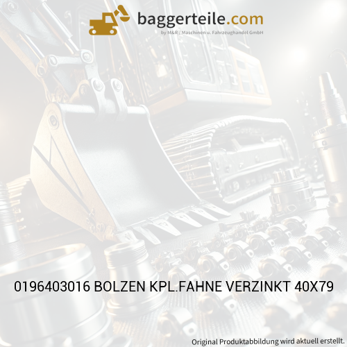 0196403016 BOLZEN KPL.FAHNE VERZINKT 40X79