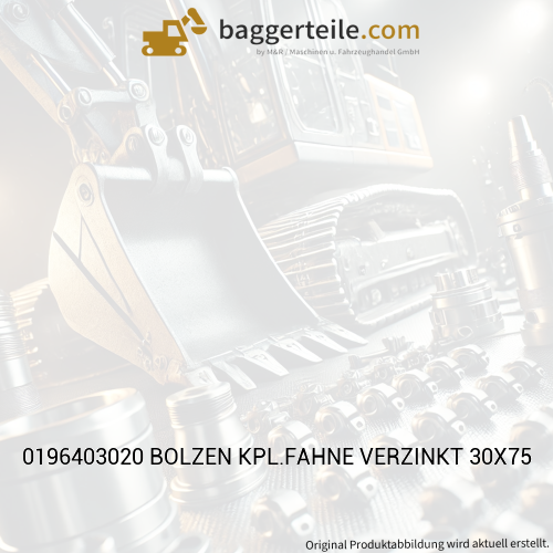 0196403020 BOLZEN KPL.FAHNE VERZINKT 30X75