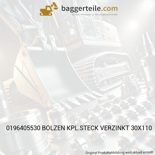 0196405530 BOLZEN KPL.STECK VERZINKT 30X110