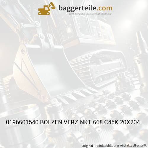 0196601540 BOLZEN VERZINKT 668 C45K 20X204
