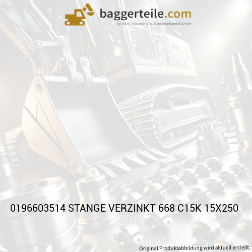 0196603514 STANGE VERZINKT 668 C15K 15X250