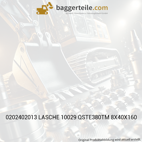0202402013 LASCHE 10029 QSTE380TM 8X40X160
