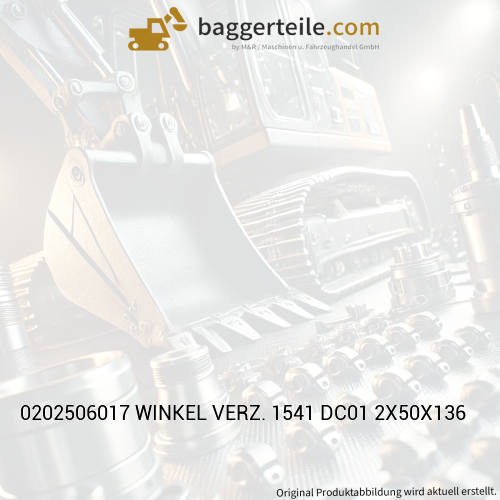 0202506017 WINKEL VERZ. 1541 DC01 2X50X136
