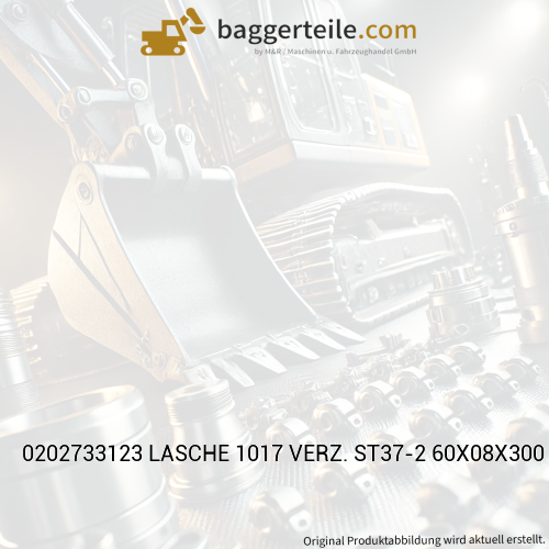 0202733123 LASCHE 1017 VERZ. ST37-2 60X08X300