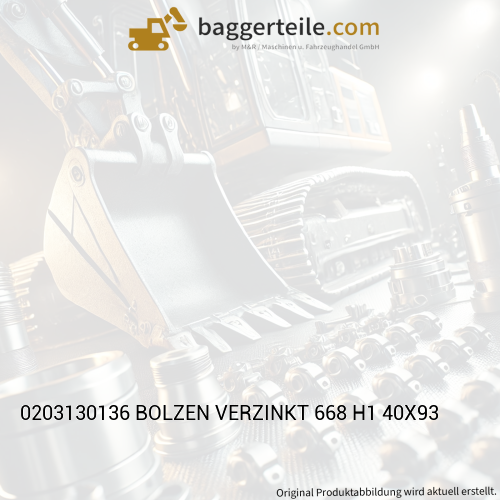 0203130136 BOLZEN VERZINKT 668 H1 40X93