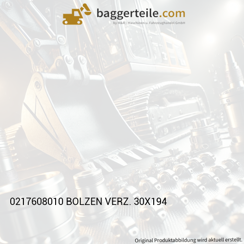 0217608010 BOLZEN VERZ. 30X194
