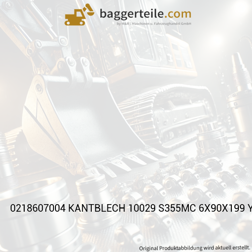 0218607004 KANTBLECH 10029 S355MC 6X90X199 Y
