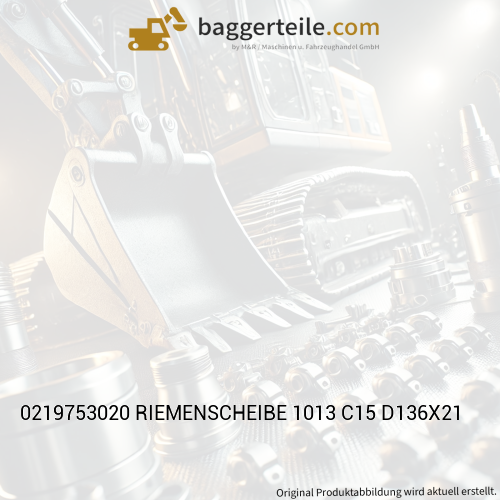 0219753020 RIEMENSCHEIBE 1013 C15 D136X21