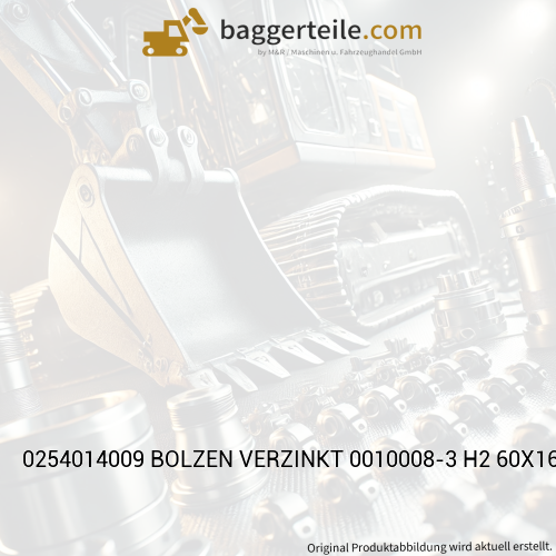 0254014009 BOLZEN VERZINKT 0010008-3 H2 60X162