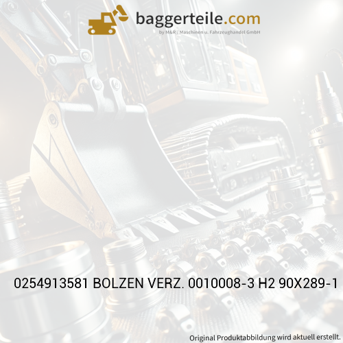 0254913581 BOLZEN VERZ. 0010008-3 H2 90X289-1