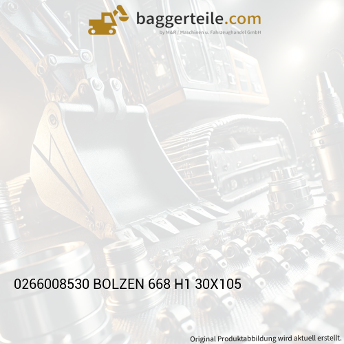 0266008530 BOLZEN 668 H1 30X105