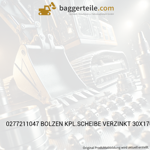 0277211047 BOLZEN KPL.SCHEIBE VERZINKT 30X170