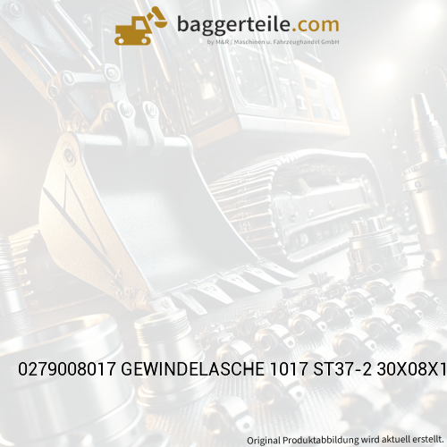 0279008017 GEWINDELASCHE 1017 ST37-2 30X08X100
