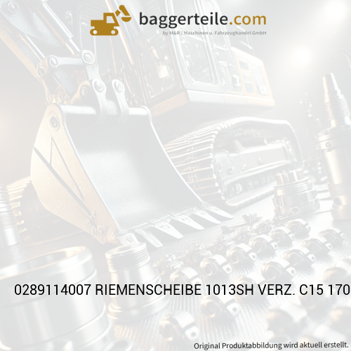 0289114007 RIEMENSCHEIBE 1013SH VERZ. C15 170X56
