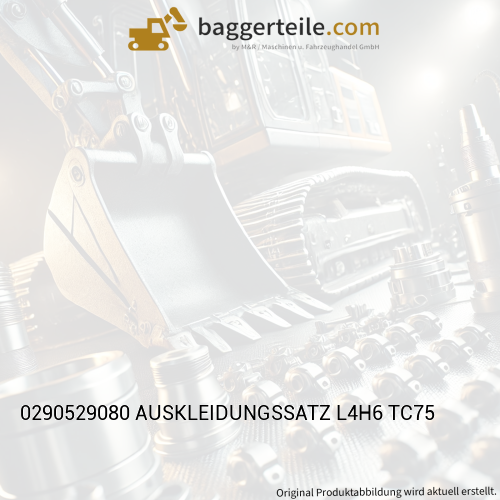 0290529080 AUSKLEIDUNGSSATZ L4H6 TC75