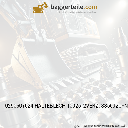 0290607024 HALTEBLECH 10025-2VERZ. S355J2C+N 6X40X256