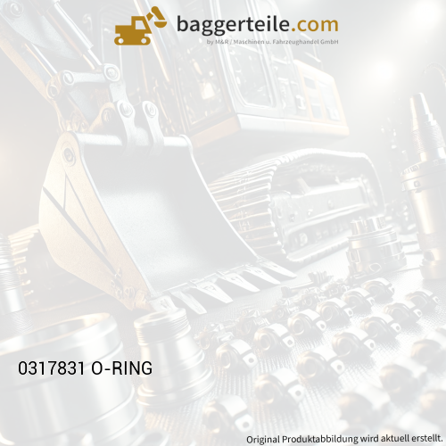 0317831 O-RING