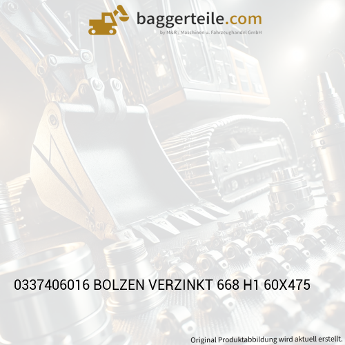0337406016 BOLZEN VERZINKT 668 H1 60X475