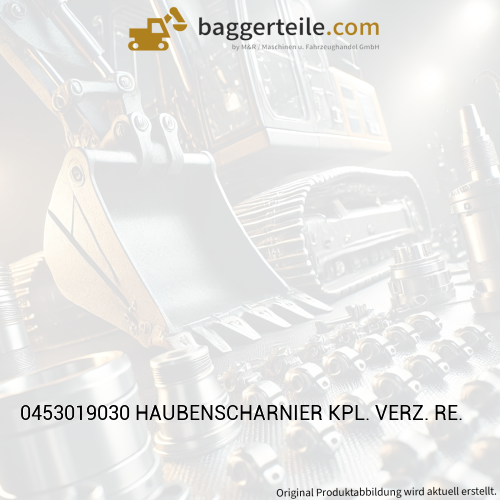 0453019030 HAUBENSCHARNIER KPL. VERZ. RE.