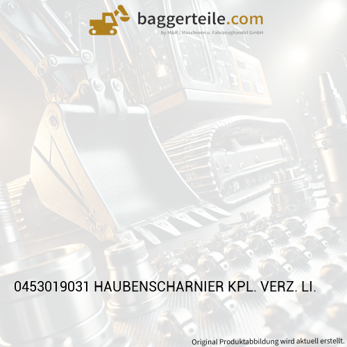 0453019031 HAUBENSCHARNIER KPL. VERZ. LI.