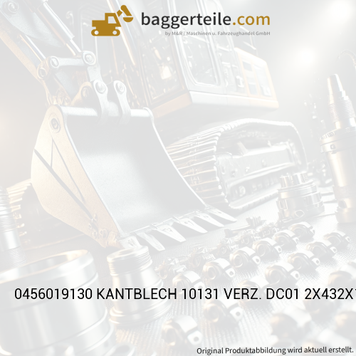 0456019130 KANTBLECH 10131 VERZ. DC01 2X432X1075