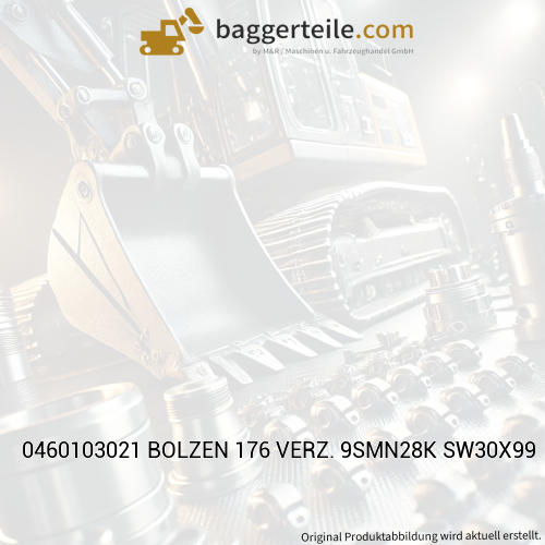 0460103021 BOLZEN 176 VERZ. 9SMN28K SW30X99