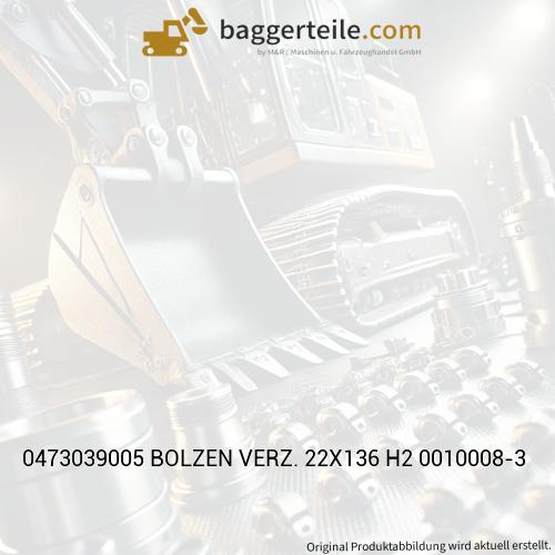 0473039005 BOLZEN VERZ. 22X136 H2 0010008-3