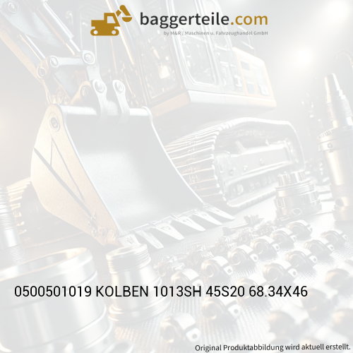 0500501019 KOLBEN 1013SH 45S20 68.34X46