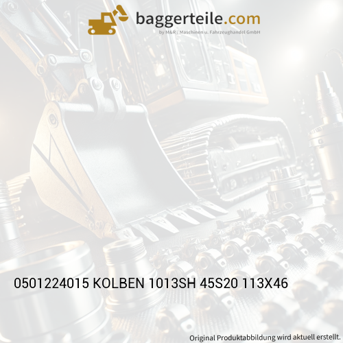 0501224015 KOLBEN 1013SH 45S20 113X46