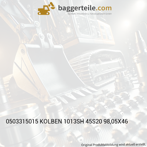 0503315015 KOLBEN 1013SH 45S20 98,05X46