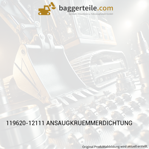 119620-12111 ANSAUGKRUEMMERDICHTUNG