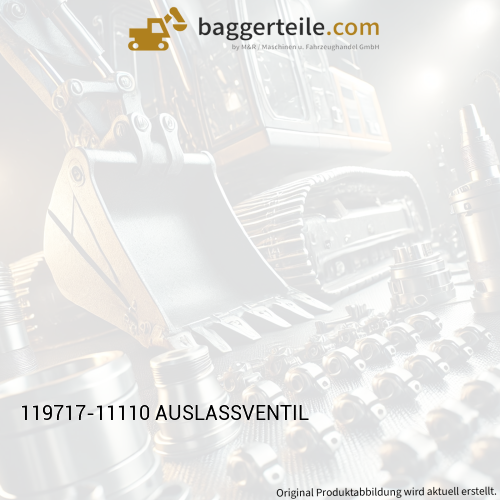 119717-11110 AUSLASSVENTIL