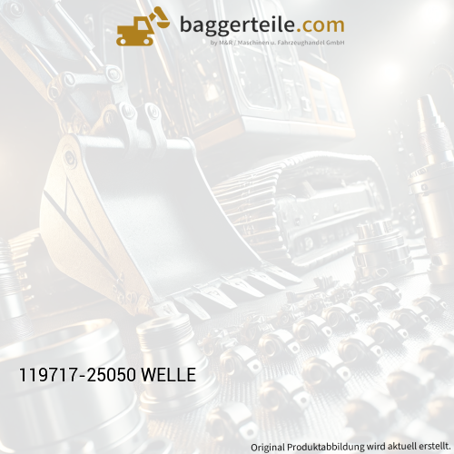 119717-25050 WELLE