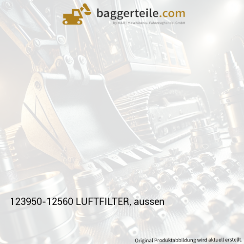 123950-12560 LUFTFILTER, aussen