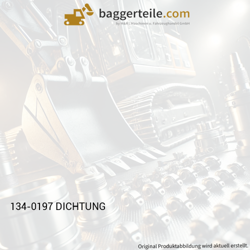 134-0197 DICHTUNG
