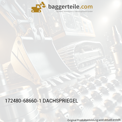 172480-68660-1 DACHSPRIEGEL